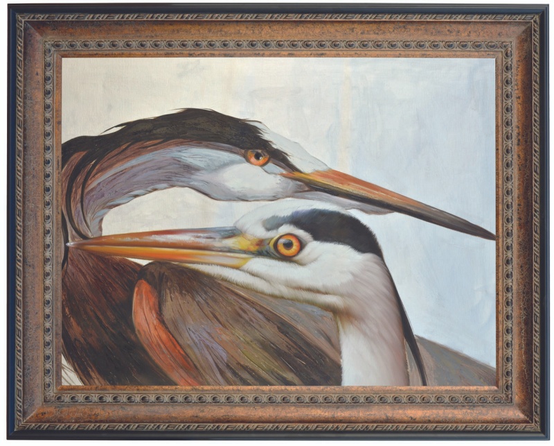 Herons Framed