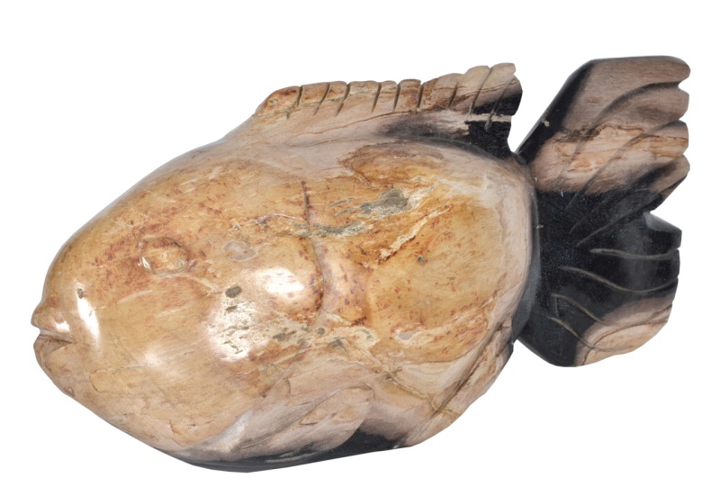 Petrified Wood Fish Sculpture