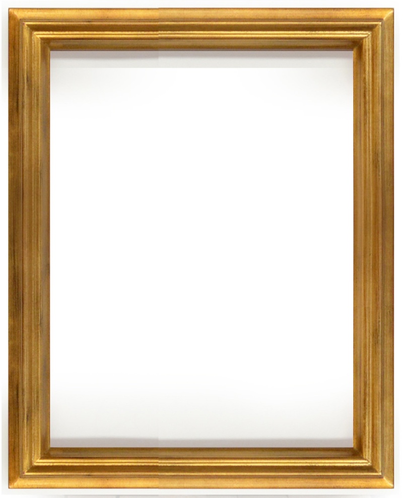 Simple Elegance Frame 12X16 Soft Gold