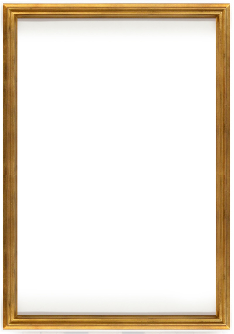 Simple Elegance Frame 24X36 Soft Gold
