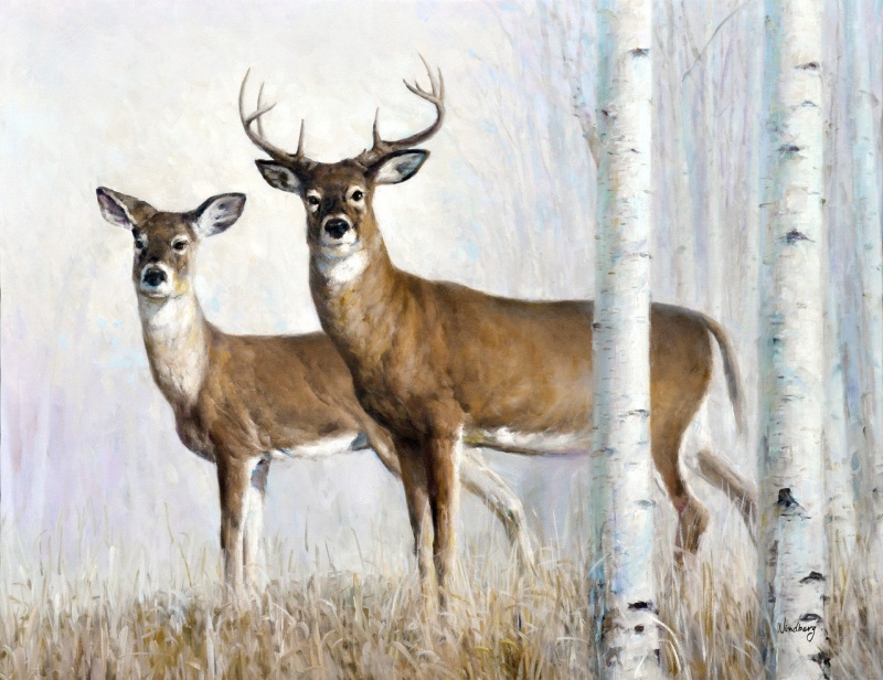 Buck And Doe In The Woods Giclee