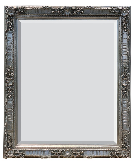 Open Woods Mirror 12X24 Silver