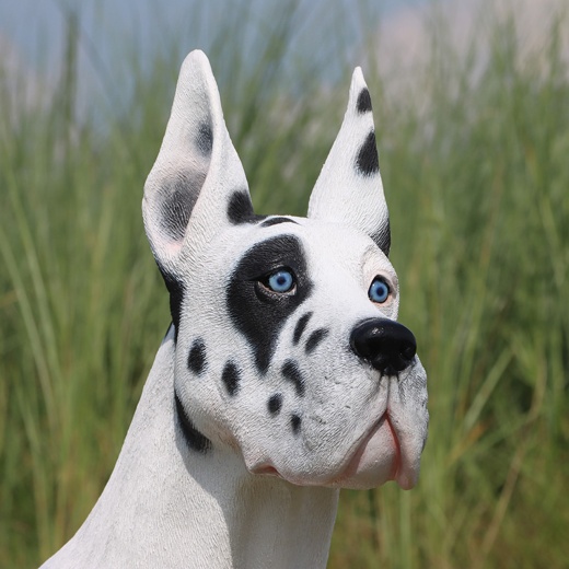 Standing Great Dane