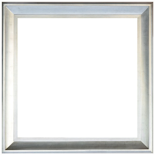 The Sterling Frame 36X36 Silver With Champagne Wash