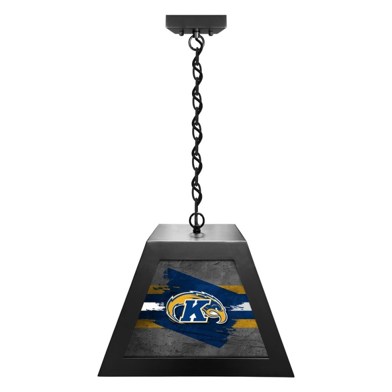 Kent State University Pendant Box Light By Holland Bar Stool Company