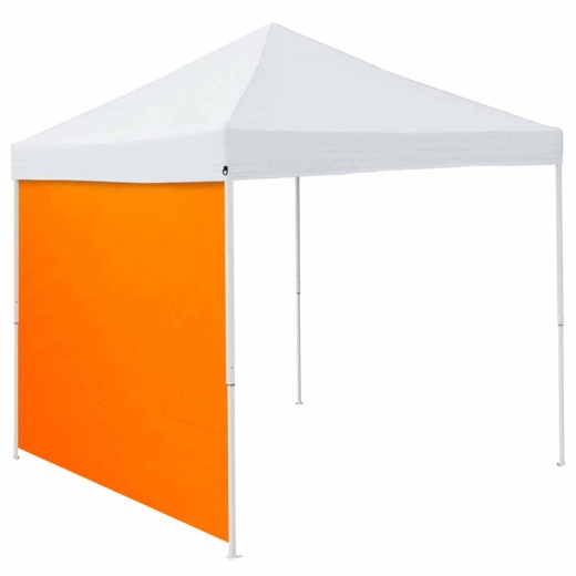 Plain Tangerine 9 X 9 Side Panel