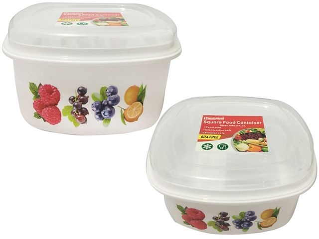 48 Pieces Square Printed Food Container - Food Storage Containers