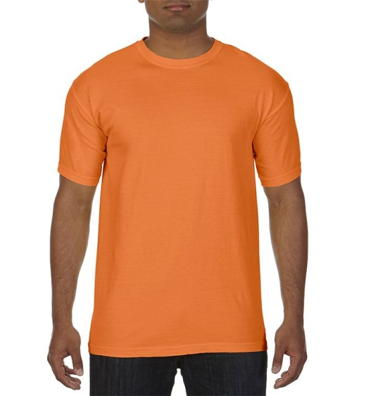 24 Pieces Men's Burnt Orange Short Sleeve T-Shirts, Size Large - Mens T-Shirts