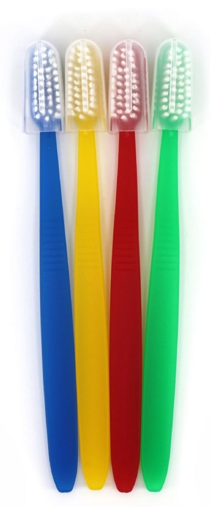 1000 Pieces Multicolor Toothbrushes with Cap - Wholesale Toothbrushes for a Healthy Smile
