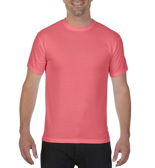 24 Pieces Men's Watermelon Pink Short Sleeve T-Shirts, Size Xlarge - Mens T-Shirts