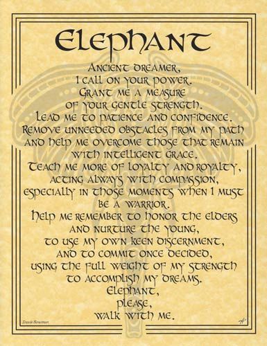 Elephant Prayer Poster