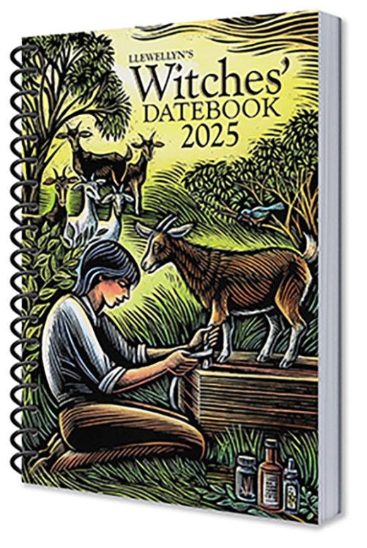 2026 Witches Datebook By Llewellyn