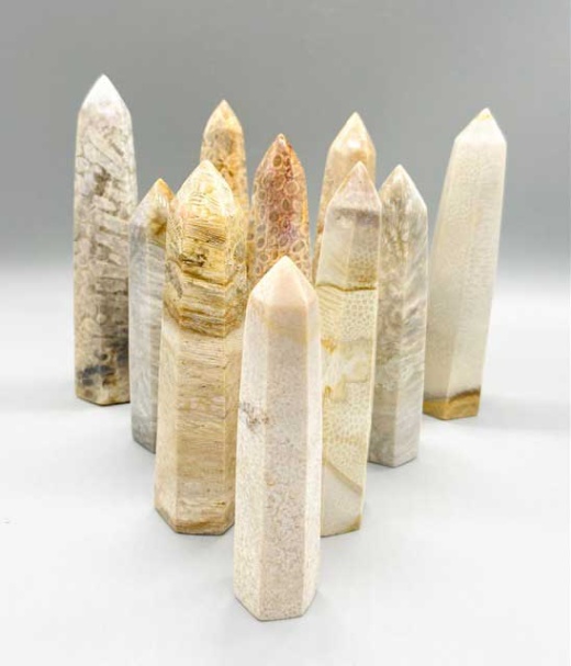 1 Kg Fossil Coral Obelisk - Natural Stone for Balance and Protection