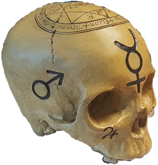 Mystic Skull Statue