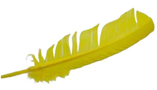 Set of 10 Yellow Feather 12 - Enhance Your Psychic Ability