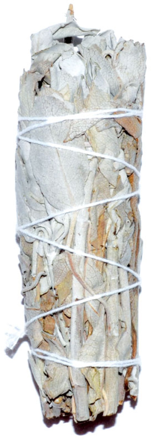 California White Sage Smudge Stick 3" for Purification and Cleansing