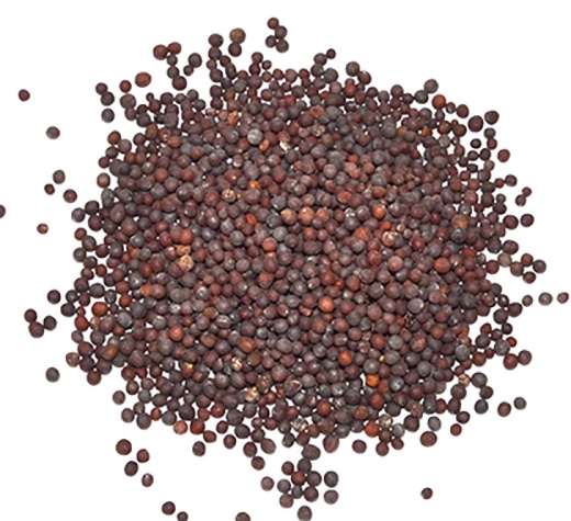 Brown Mustard Seeds 2Oz - Whole Seeds for Culinary, Cosmetic and Magickal Use