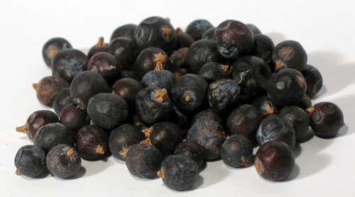 Juniper Berries Whole 2Oz (Juniperus Communis)
