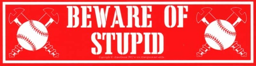 Beware Of Stupid 11 1/2" X 3"
