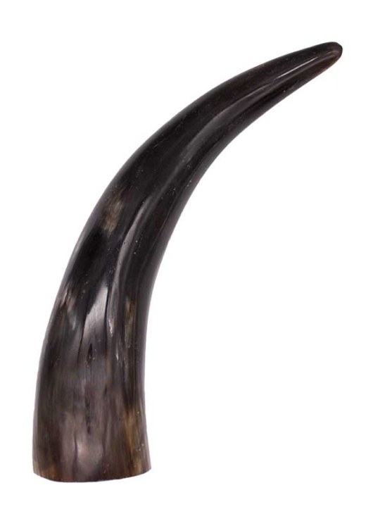 9" Horn End
