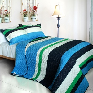 3Pc Vermicelli-Quilted Patchwork Quilt Set - Caprice