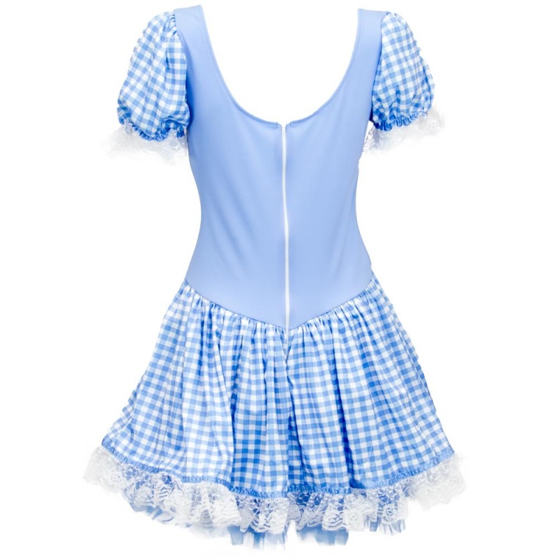 Dorothy Adult Costume, m