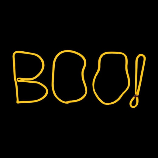 Halloween Boo Motif Neon Rope Light - 17 Inch Orange LED Sign