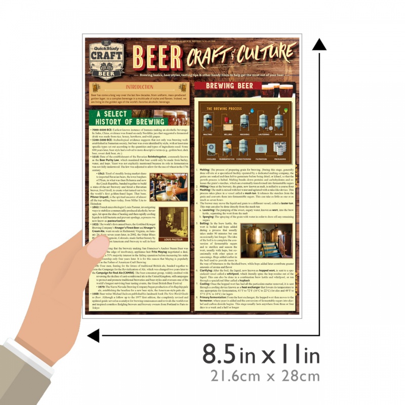 Quickstudy | Beer: Craft & Culture Laminated Reference Guide
