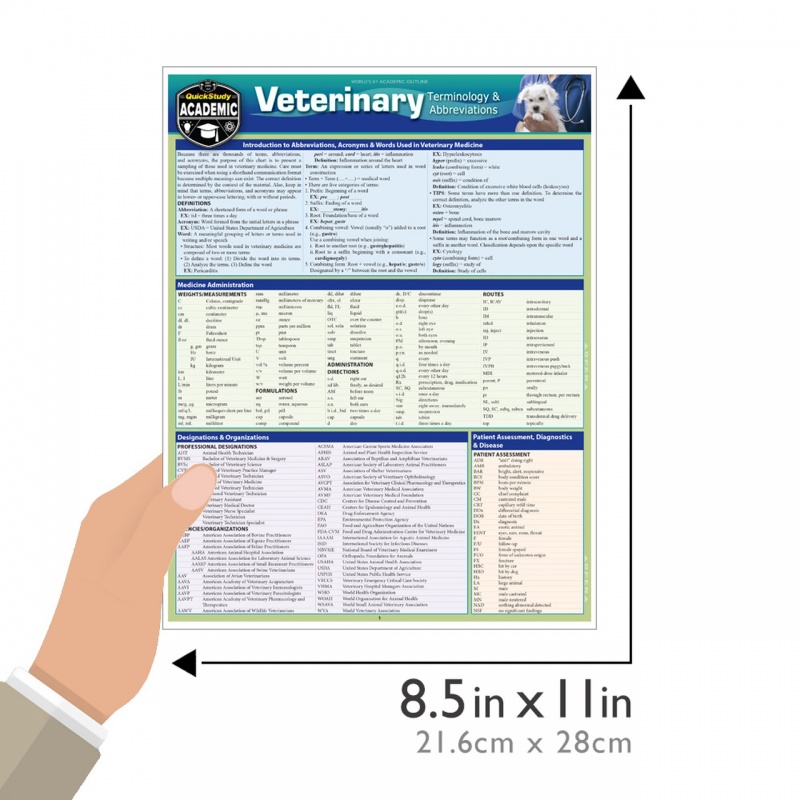 Quickstudy | Veterinary Terminology & Abbreviations Laminated Study Guide