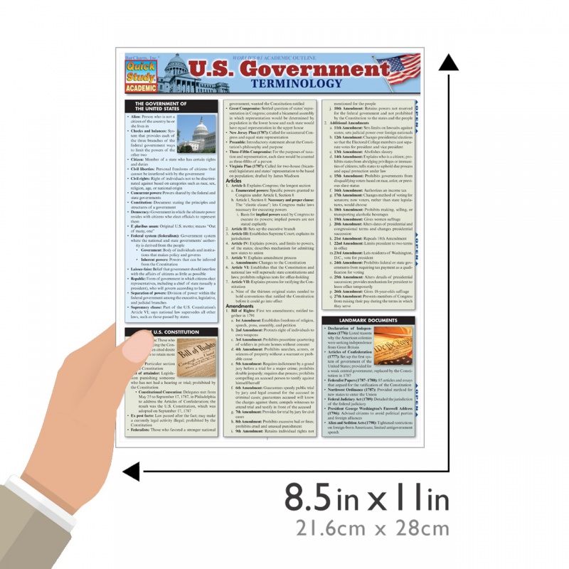 Quickstudy | U.S. Government Terminology Laminated Study Guide