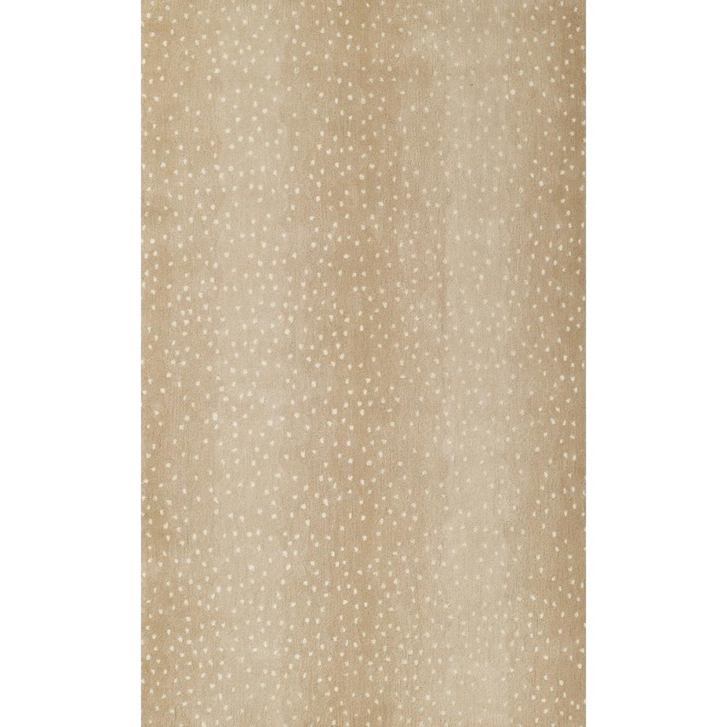 Contemporary Rectangle Area Rug, Beige, 3'6" x 5'6"