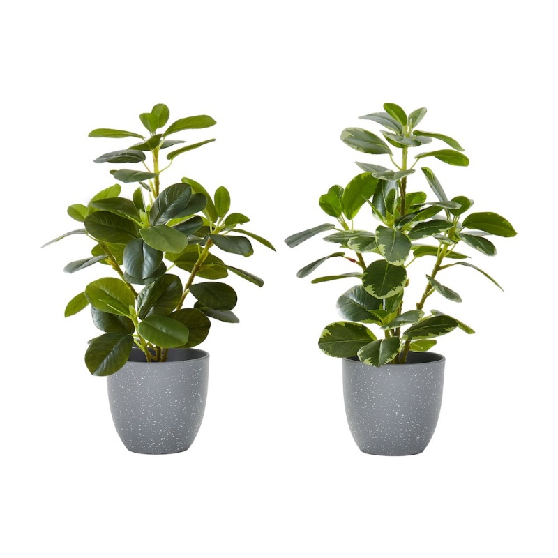Artificial Plant, 14" Tall, Ficus, Set of 2