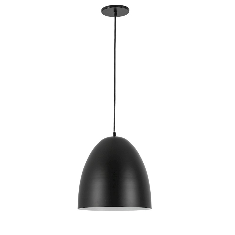 1 Light Pendant in Matte Black