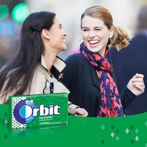 Orbit Spearmint Sugar-Free Gum - 12 Packs - Spearmint - Individually Wrapped - 12 / Box