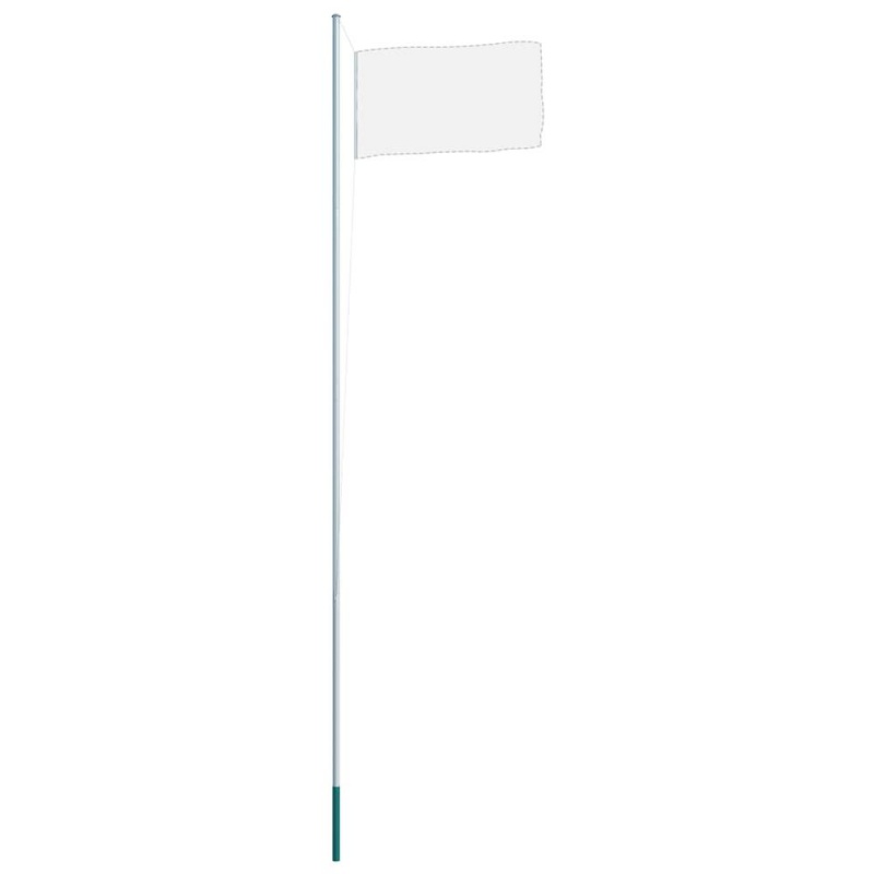 Vidaxl Sectional Flagpole Aluminum 244.1" 6069