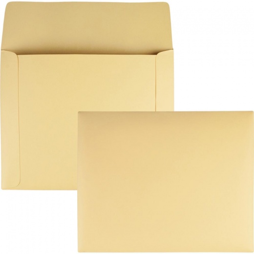 Quality Park Filing Envelopes - 100/Box