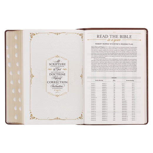 KJV Study Bible LP Faux Leather, Saddle Tan/Art Nouveau
