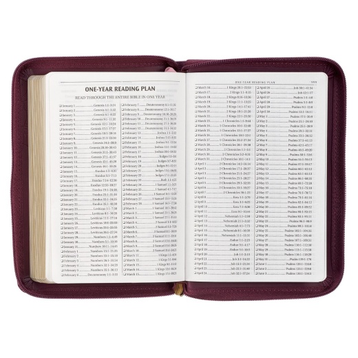 KJV Bible Compact Faux Leather, Merlot W/Zipper