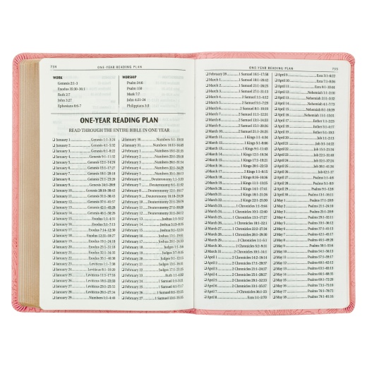 Kjv Bible Gift Edition Faux Leather, Light Pink