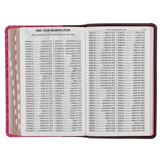 KJV Bible Giant Print Standard-Size Faux Leather, Brown/Pink Berry