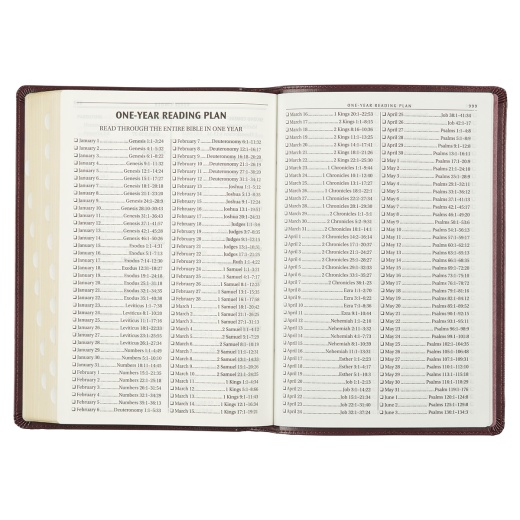 KJV Bible Thinline LP Faux Leather, Burgundy
