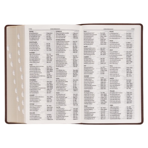 KJV Bible Giant Print Standard-Size Faux Leather, Medium Brown