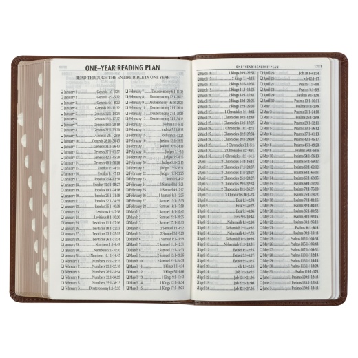 KJV Bible Giant Print Standard-Size Faux Leather, Saddle Tan/Butterscotch