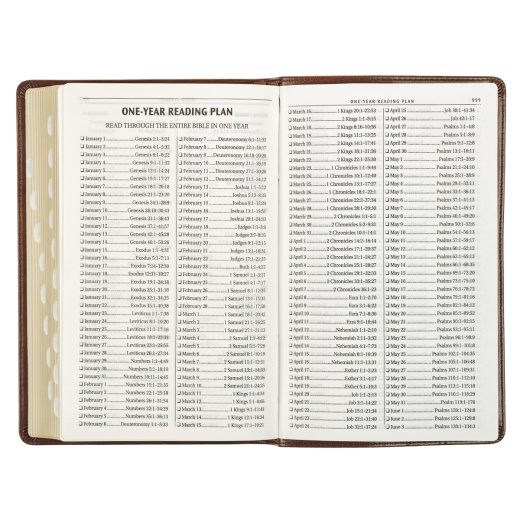 Kjv Bible Deluxe Gift Faux Leather, Medium Brown