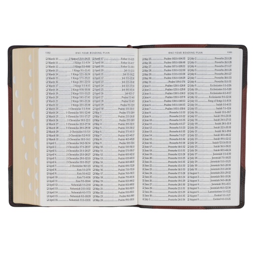 KJV Bible Giant Print Full-Size Full-Grain Leather, Espresso/Saddle Tan