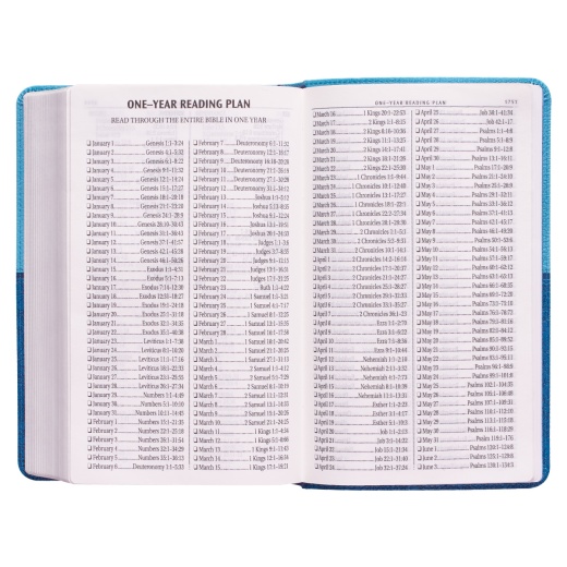 KJV Bible Giant Print Standard-Size Faux Leather, Aqua/Blue
