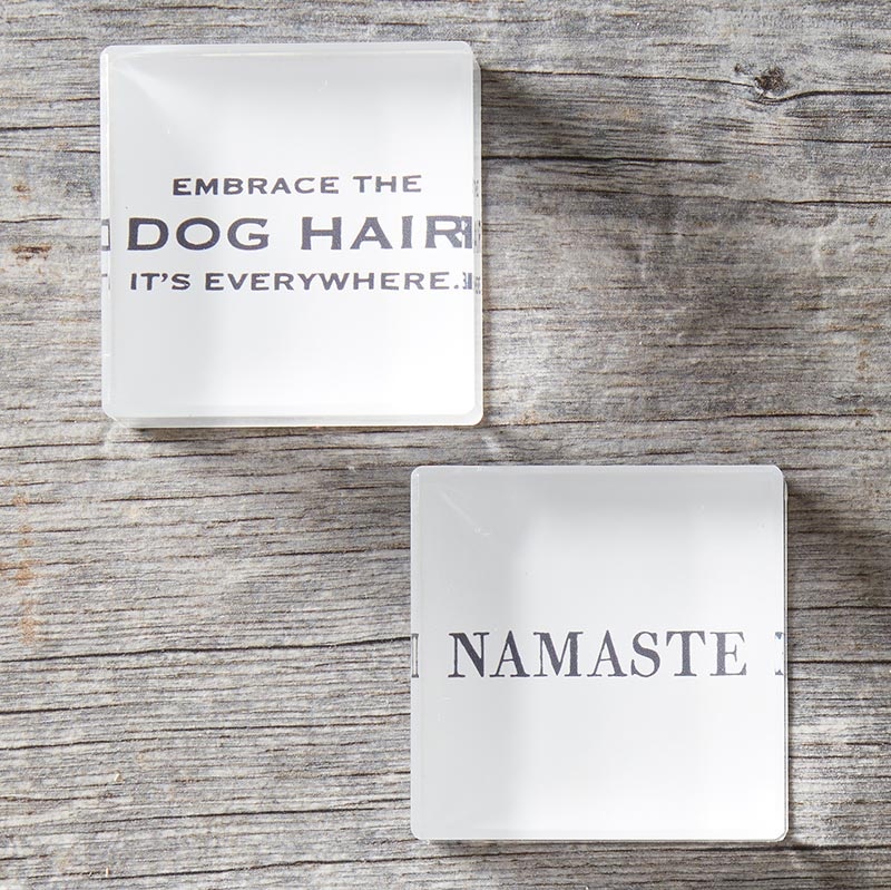 Face To Face Lucite Block - Embrace The Dog Hair