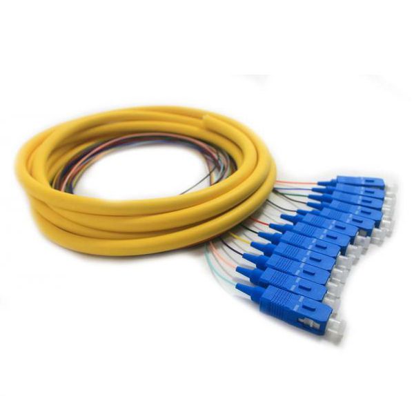 Buy 12 Fiber Distribution Pigtail, SM, SC/UPC, 3m Online | New Products