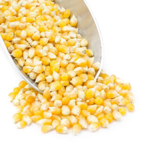 Popcorn, Yellow, Organic