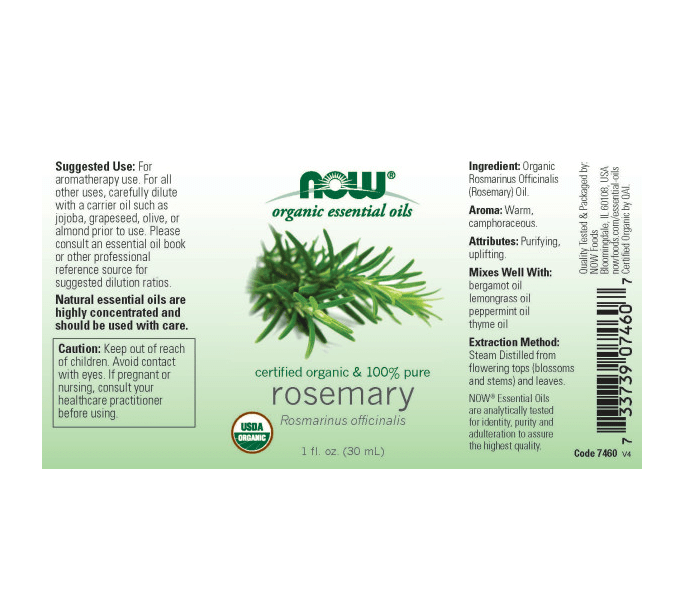Rosemary Organic Essential Oil - 1 Fl Oz